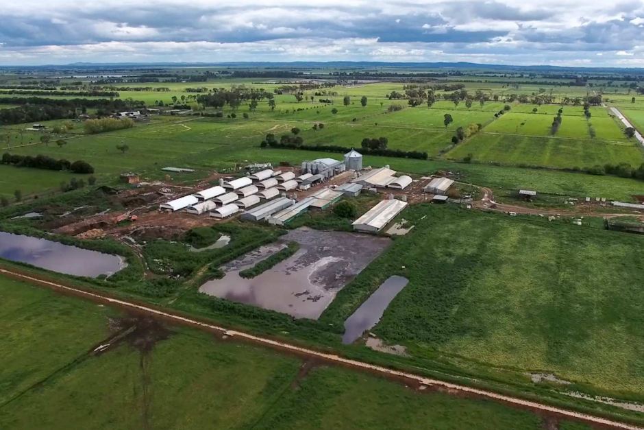 Aerial view of a piggery at Stanhope that will be expanded with a power plant and glasshouse. 