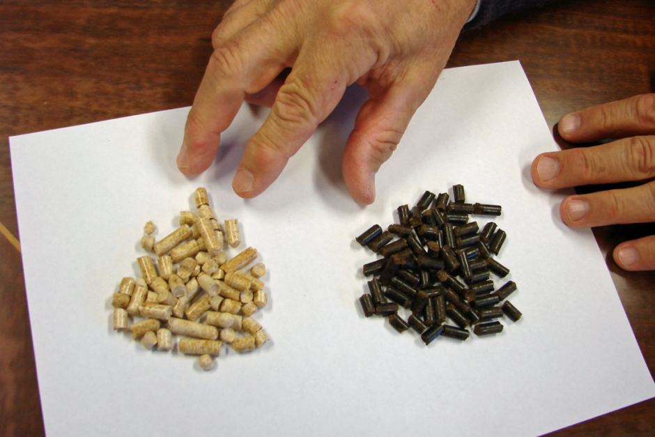 Black energy-dense biomass pellets could be used to replace black coal. 