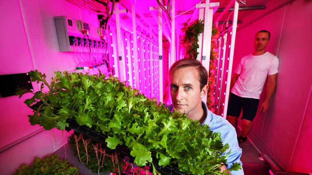 Start-up: Sprout Stack’s Francisco Caffarena, left, and Michael Harder in one of their growing containers in Sydney. Picture: John FederPicture: John Feder 
