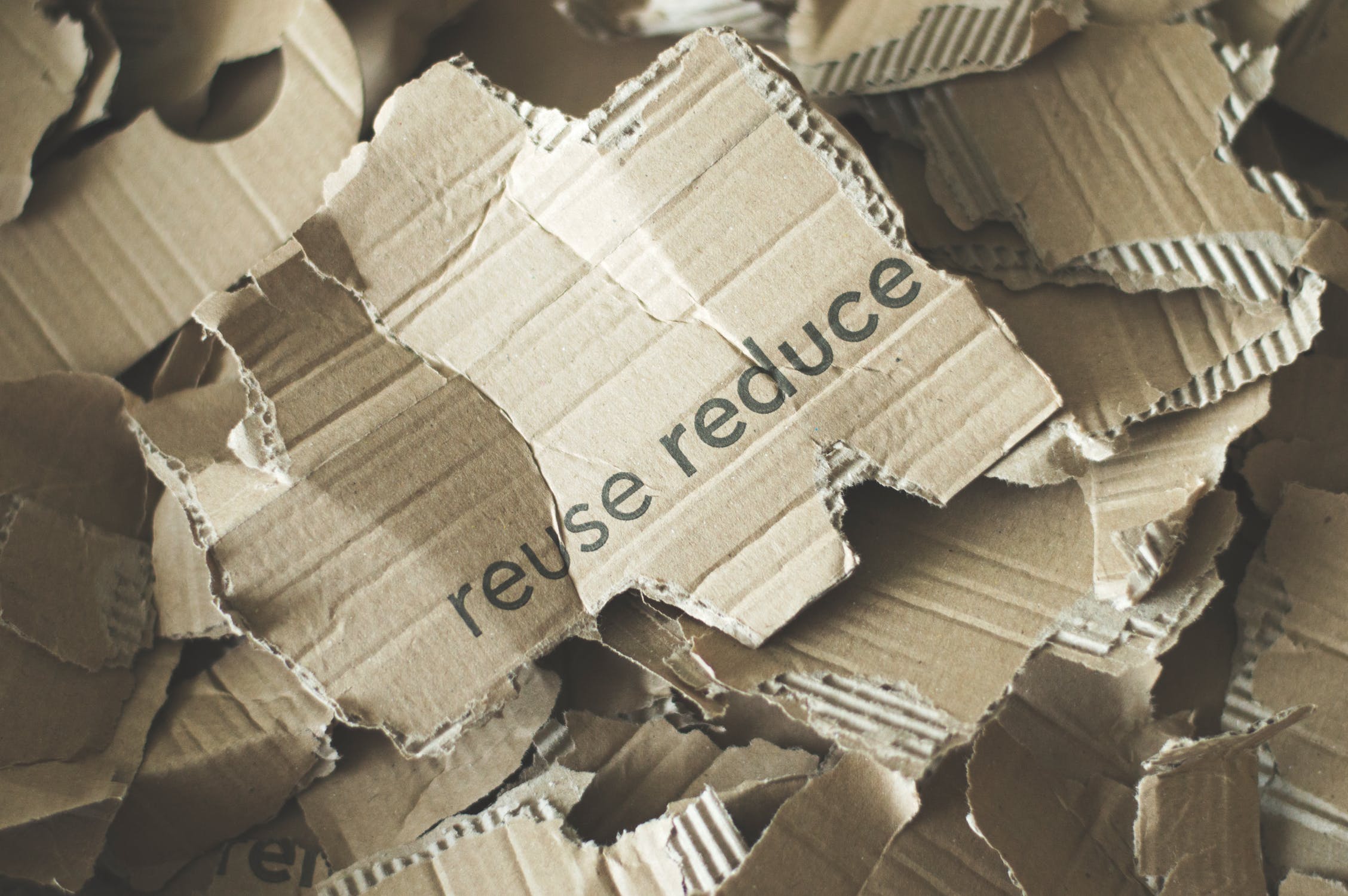 Success in Sustainability Combines These 3 Ingredients - cardboard
